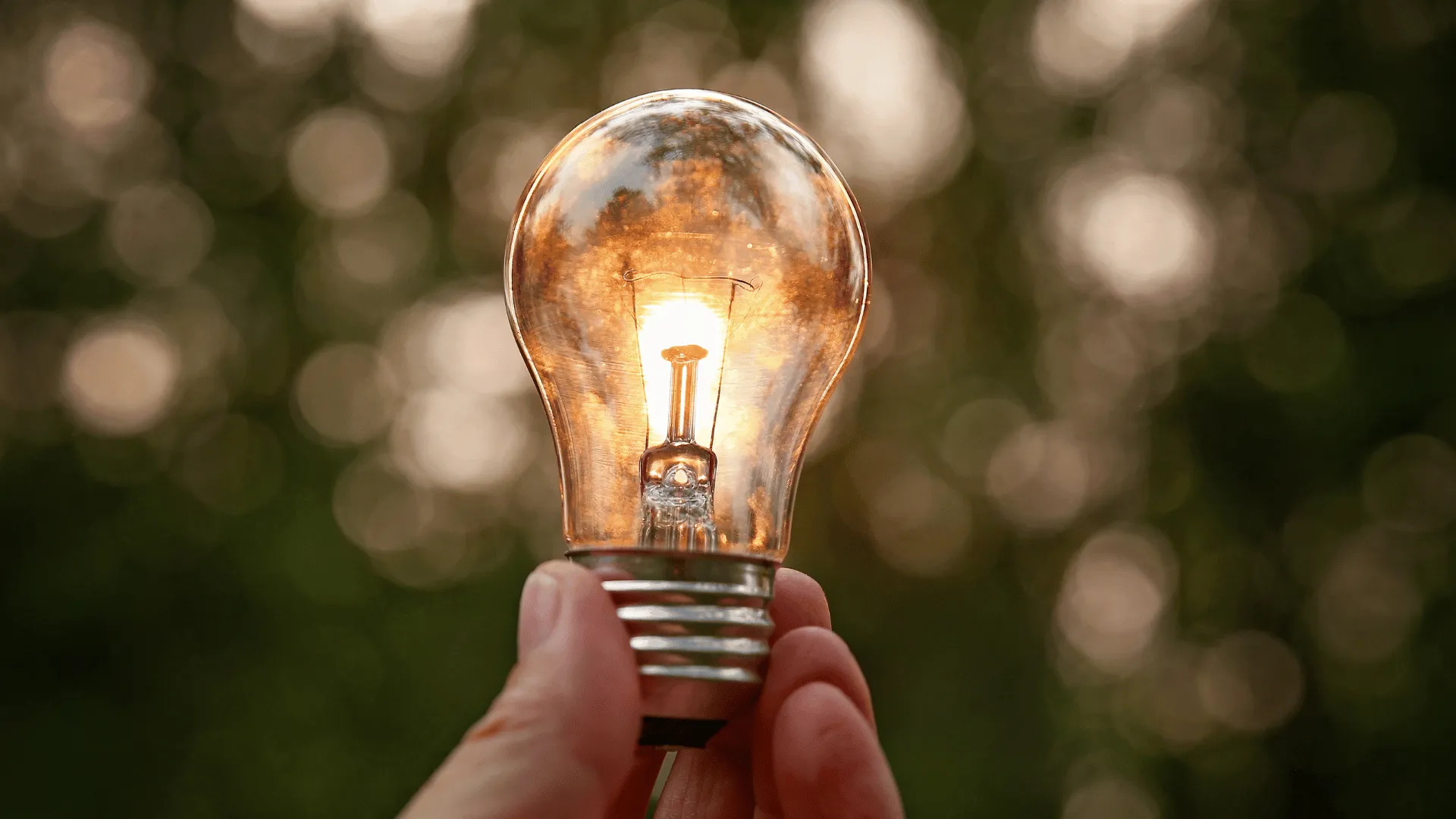 Light Bulb - Electricity