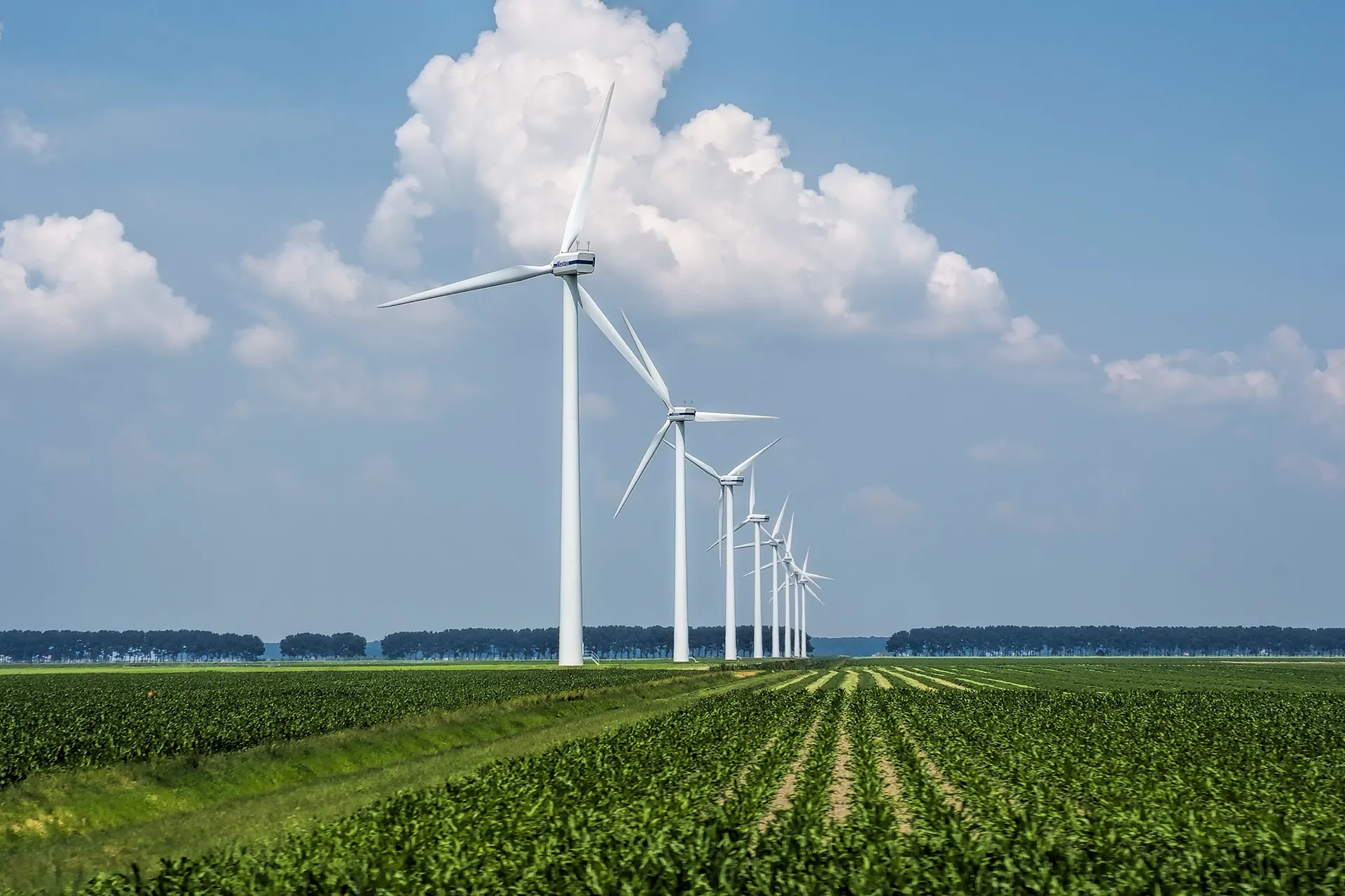 Edge Utilities_Renewable Energy_Wind Turbines