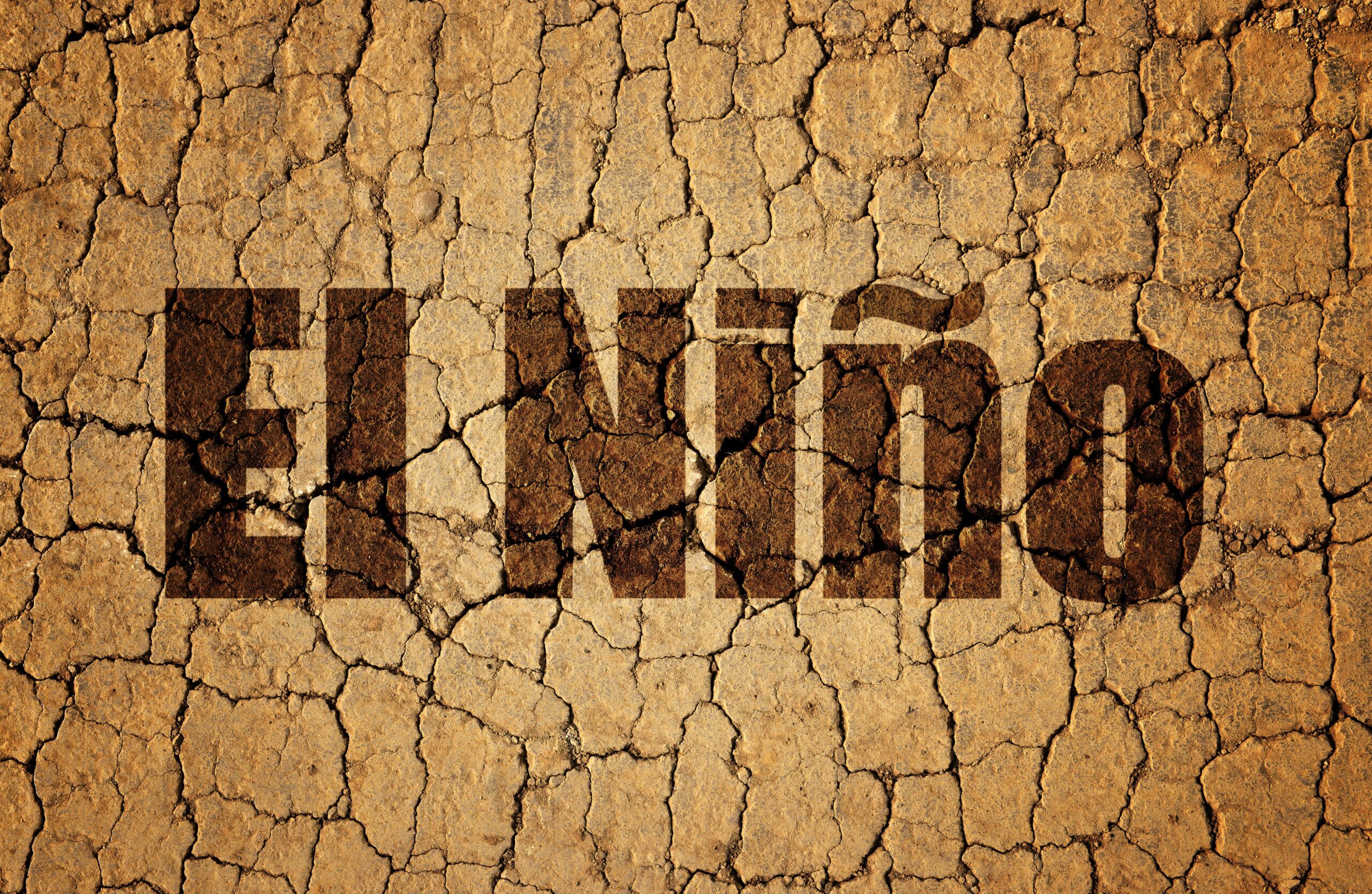 Cracked earth texture with the word 'El Niño' superimposed, indicating drought conditions associated with the weather phenomenon.